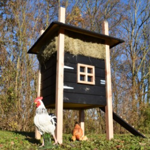 The chickencoop Rosalynn is an acquisition for your garden