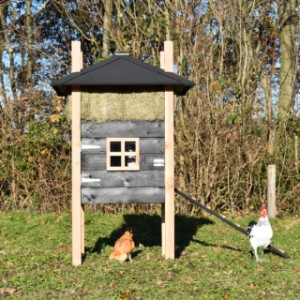 The sleeping compartment of chickencoop Rosalynn is provided with a window