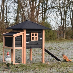 Chickencoop Rosy with laying nest 137x114x145cm