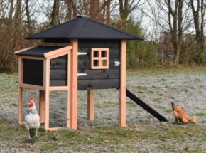 Chickencoop Rosy wirh laying nest 137x114x145cm