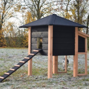 The roof of the chickencoop Rosy is provided with black roofing felt