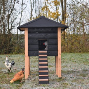 The sleeping compartment of chickencoop Rosy is provided with a large opening