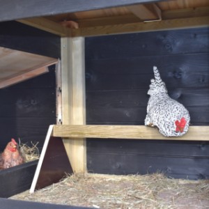 The sleeping compartment offers a lot of space for your chickens