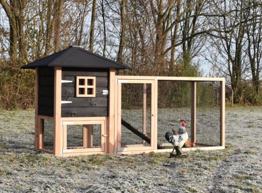 Chickencoop Rosy with additional run 272x114x145cm