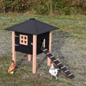 This nice chickencoop Rosy is an acquisiton for your garden