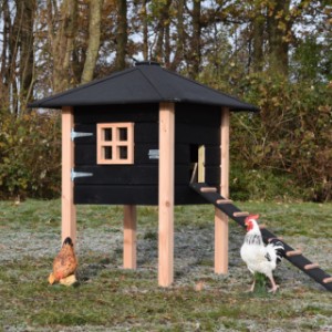The hutch Rosy is suitable for 3 till 5 chickens