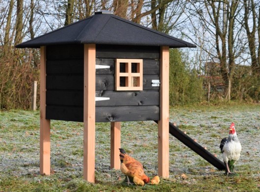 Chickencoop Rosy 114x114x145cm
