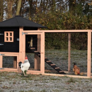 The chickencoop Rosy is provided with nice details