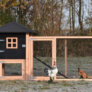 The chickencoop Rosy is extended with an additional run