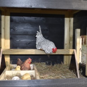 The chickencoop Rosy is provided with a large sleeping compartment