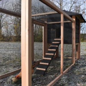 The run has black mesh, so that you have a good view on your chickens