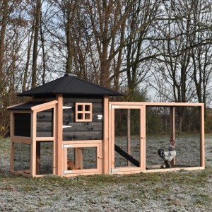 The chickencoop Rosy offers a nice place for your chickens