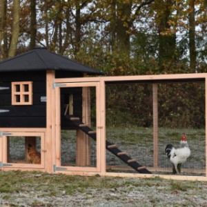 The chickencoop Rosy has a large run