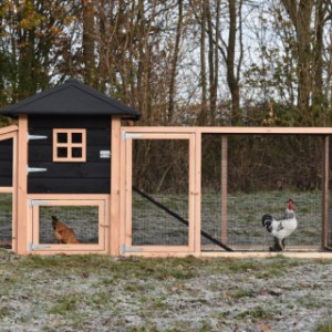 The hutch Rosy is suitable for chickens and rabbits