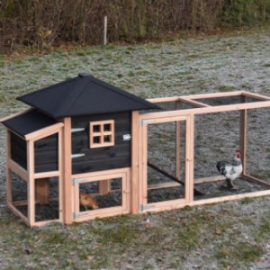 Chickencoop Rosy with laying nest and additional run 294x114x145cm