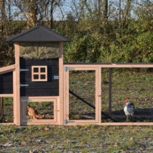 The chickencoop Rosanne is extended with an additional run