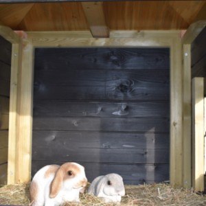 The chickencoop Rosy has a large sleeping compartment