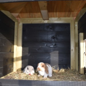 The sleeping compartment of rabbit hutch Rosy is suitable for 2 till 4 rabbits