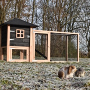 The rabbit hutch Rosy is extended with a large additional run