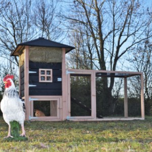 The chickencoop haystack Rosanne is an acquisition for your yard