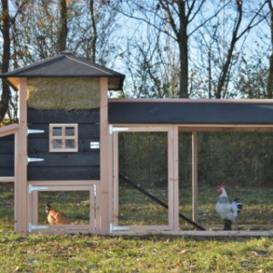 The chickencoop Rosanne is extended with a covered run