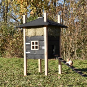 The rabbit hutch Rosalynn is made of Douglaswood and black impregnated wood