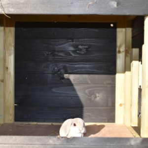The sleeping compartment of rabbit hutch Rosalynn is suitable for 2 till 4 rabbits
