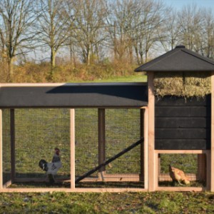The haystack Rosanne is suitable for chickens and rabbits