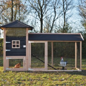 The chickencoop Rosanne is made of Douglaswood and black impregnated wood