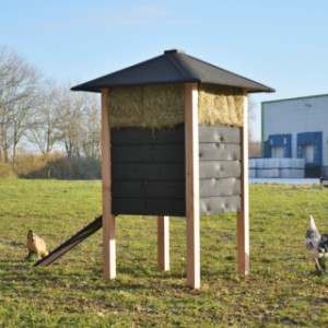 The chickencoop Rosanne is partially made of black impregnated wood