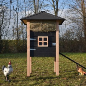 The sleeping compartment of chickencoop Rosanne is provided with a window