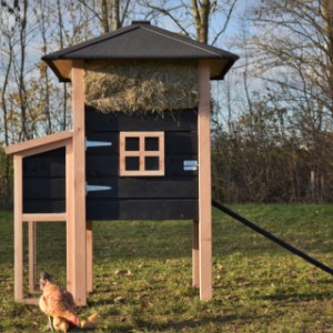 The sleeping compartment of chickencoop Rosanne is provided with a window