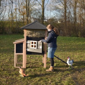 The chickencoop Rosanne has a large door, to clean the sleeping compartment very easily