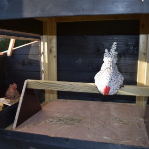 The large sleeping compartment is suitable for 3 till 5 chickens