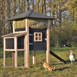 Chickencoop haystack Rosanne with laying nest 137x114x180cm