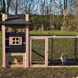 The chickencoop Rosa is extended with an additional run