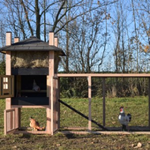 The chickencoop Rosa is provided with large doors