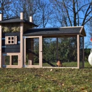 The hutch offers place for 3 till 5 chickens