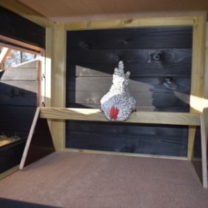 As standard will this hutch be delivered with perches