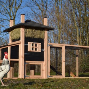 The chickencoop Rosa is an acquisition for your yard!