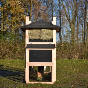 The chickencoop Rosa is extended with a laying nest