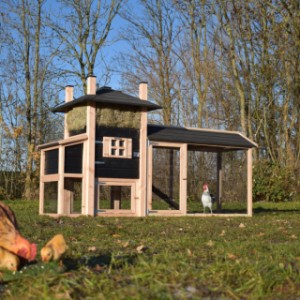 The haystack Rosa offers a nice place for your chickens!