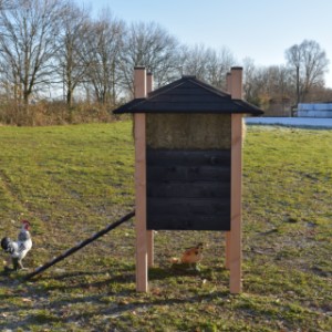 The chickencoop is provided with douglas poles of 9x9cm