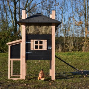 The chickencoop Rosa is provided with a window with decorative shutters