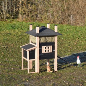The hutch offers a nice place for your chickens