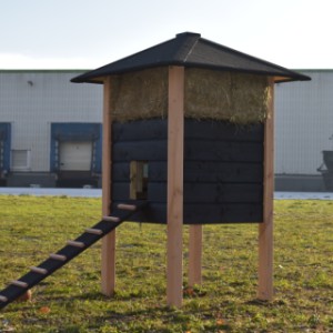 The ramp is provided with black roofing felt