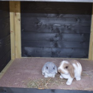 The rabbit hutch Rosanne is provided with a large sleeping compartment