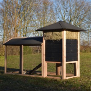 The rabbit hutch Rosanne is extended with a covered run