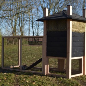 The rabbit hutch Rosa is extended with a large run