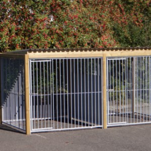 Double dog kennel